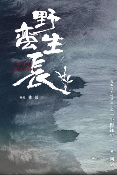 野蛮生长